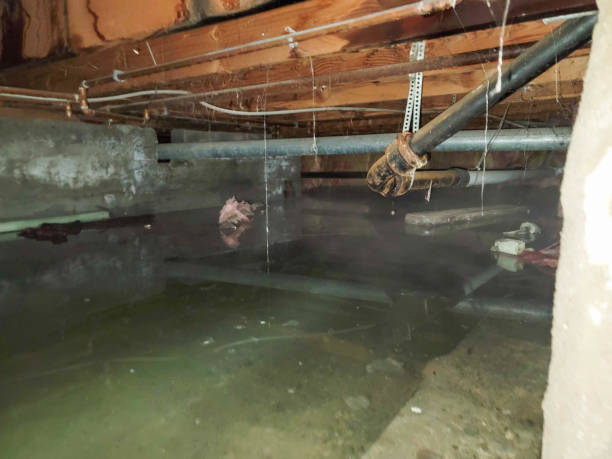  New Hempstead, NY Water damage restoration Pros