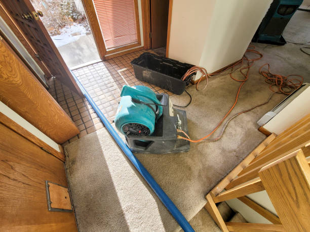 Best Local water damage restoration  in New Hempstead, NY