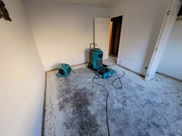 Best Mold removal after water damage  in New Hempstead, NY