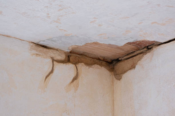 Best Ceiling water damage repair  in New Hempstead, NY